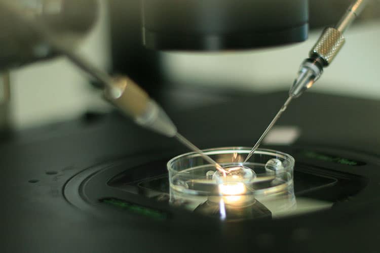 Embryologická a andrologická laboratoř