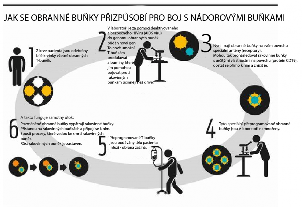 terapie pomocí genové modifikace T-buněk