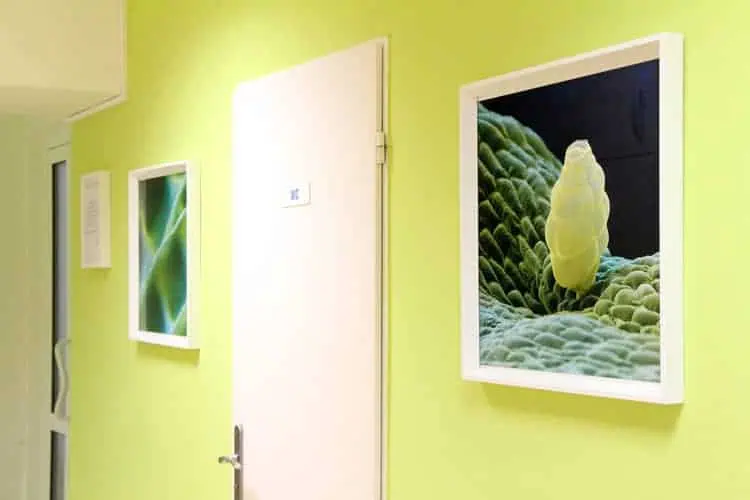 Fotogalerie 112 - Sanatorium Helios CZ