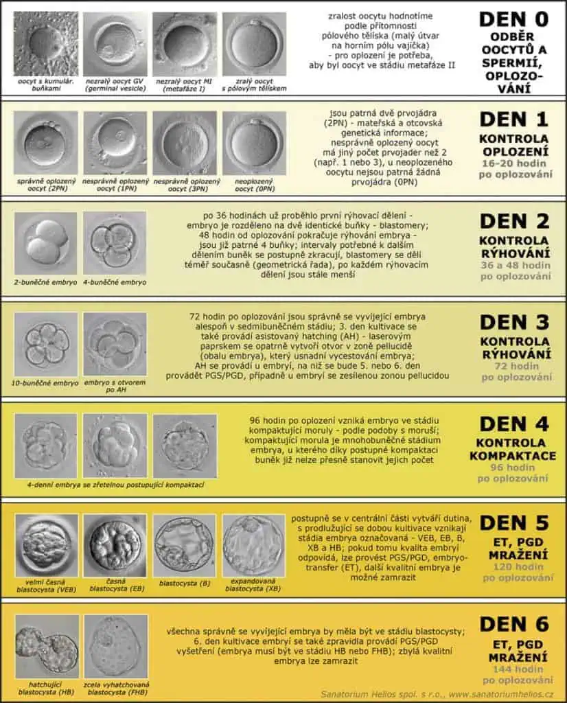 Kultivace 1 - Sanatorium Helios CZ