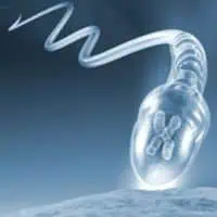 Proč je důležité vyšetřovat integritu DNA u spermií? 6 - Sanatorium Helios CZ Genetika spermie