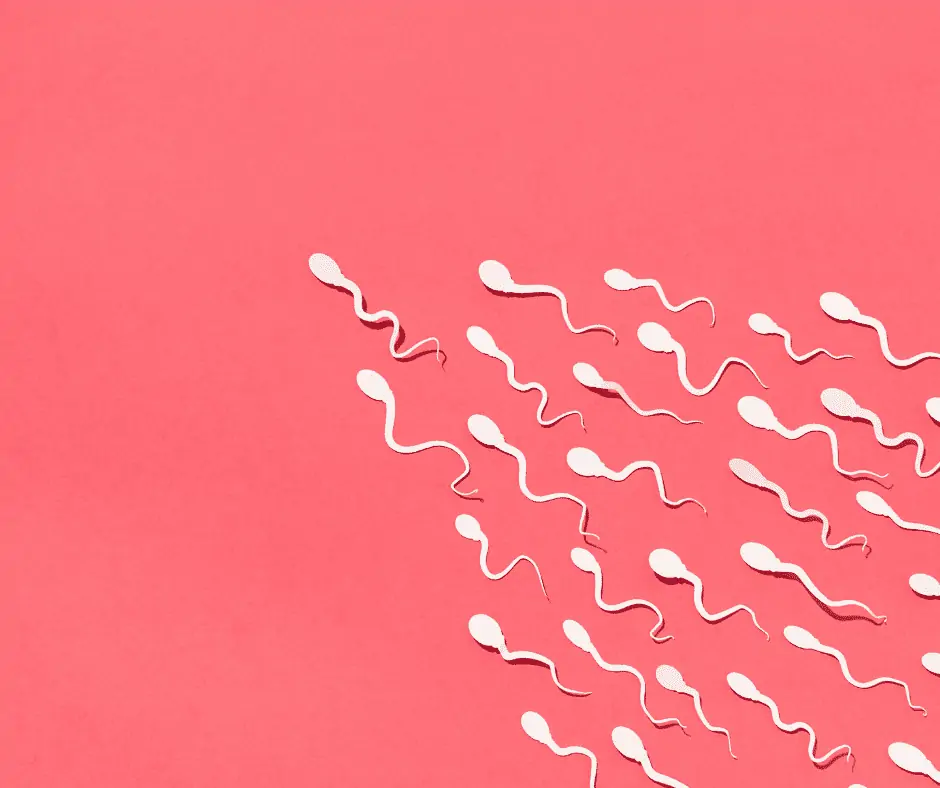 7 tipů na zlepšení hodnot spermiogramu 10 - Sanatorium Helios CZ spermiogram