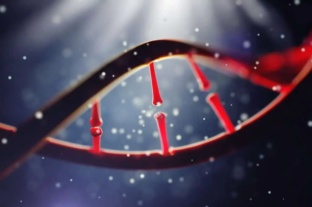 Externí nadnárodní kontrola GEN – QA 6 - Sanatorium Helios CZ molekula DNA